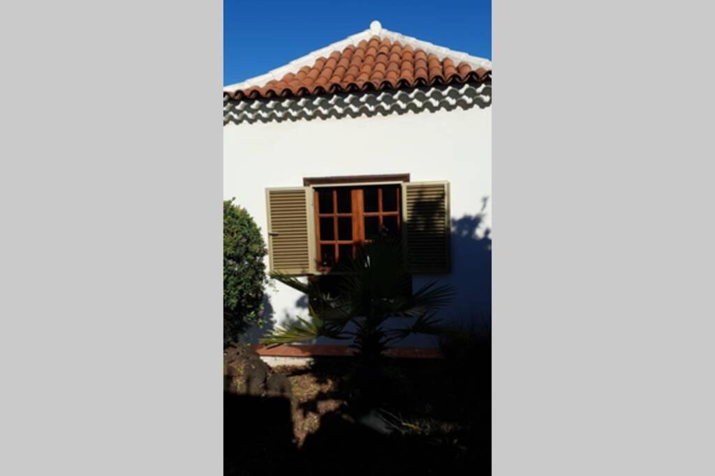 Villa La Paz Puerto de la Cruz Kültér fotó