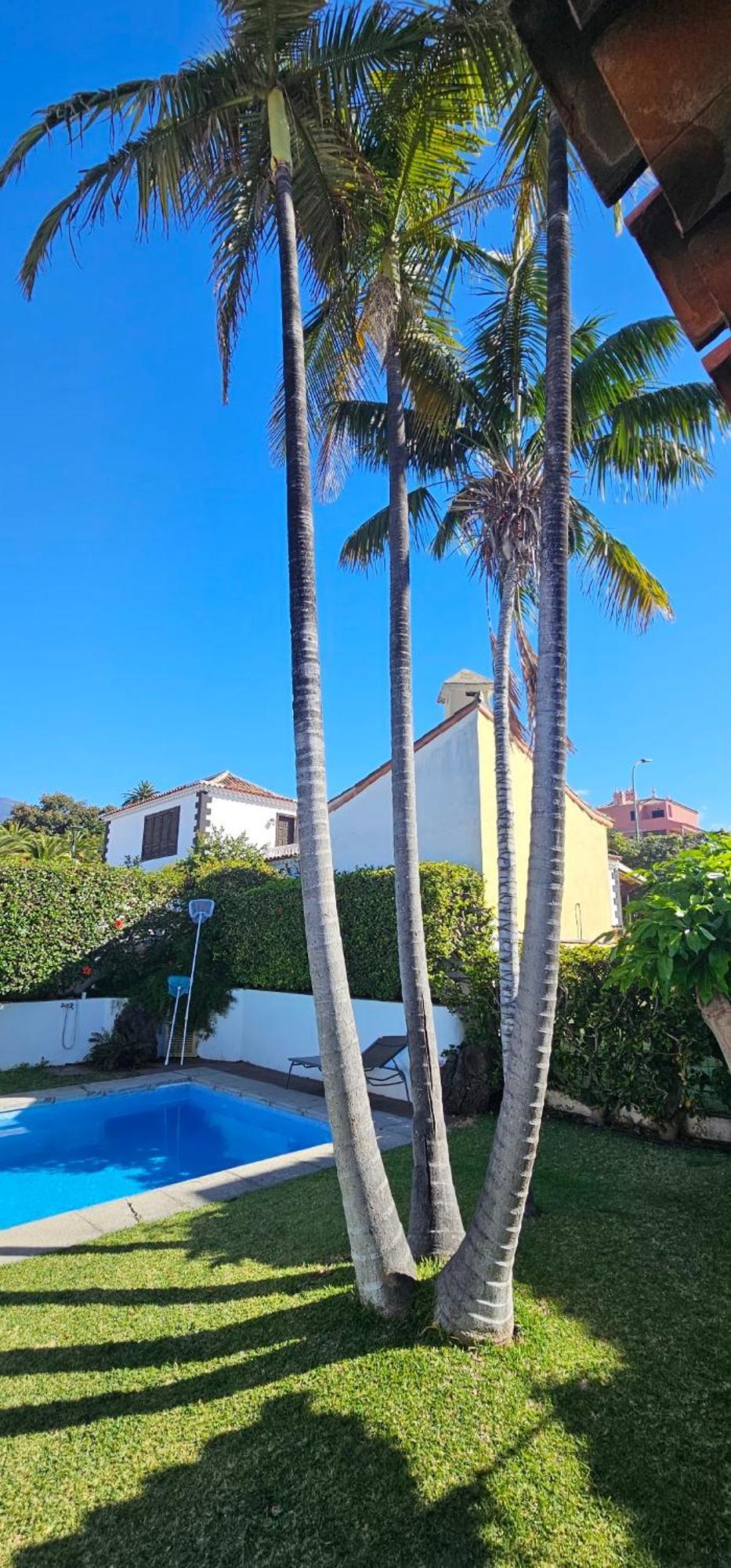 Villa La Paz Puerto de la Cruz Kültér fotó